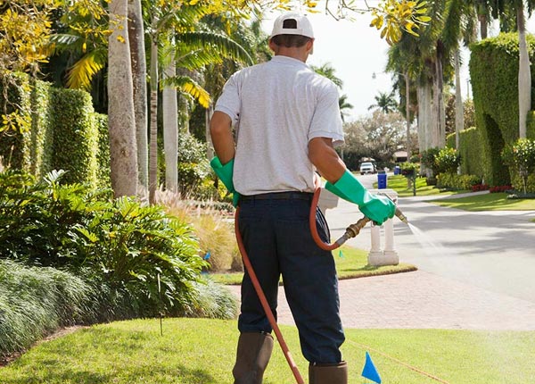About Somes Bar CA Pest Control